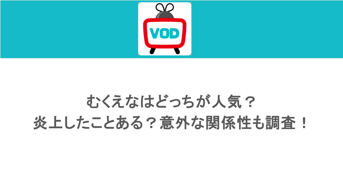 むくえなはどっちが人気？炎上したことある？意外な関係性も調査！